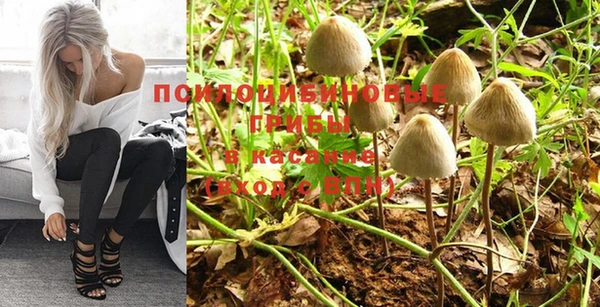 мяу мяу мука Волоколамск