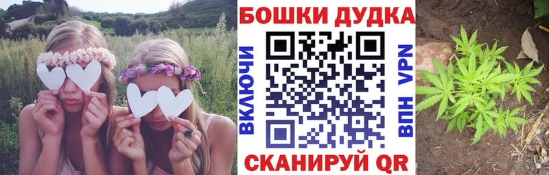 Шишки марихуана индика Кизел